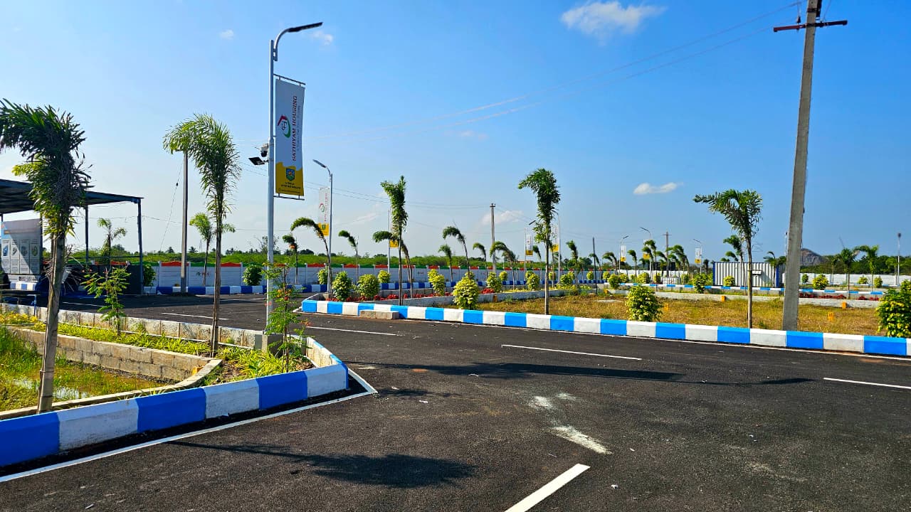 Site View